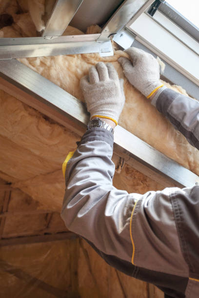 Best Fiberglass Insulation in Sycamore, IL