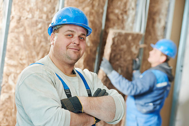 Best Cellulose Insulation in Sycamore, IL